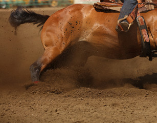 Naklejka premium A bay horse sliding in the dirt in an up close horizontal presentation. Barrel racing, rodeo, action equine, competing sports.