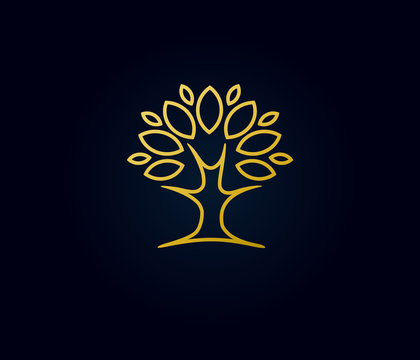 Gold tree linear logo. Abstract linear vector tree luxury logo icon design. Universal premium park nature and relax solid symbol
