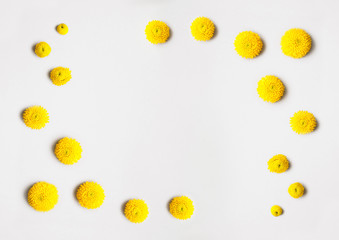 Flowers composition, spring background - Frame made of yellow chrysanthemum flowers on light grey or white background. Easter, spring, summer concept. Flat lay, top view