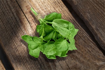Basil.