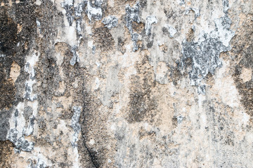 white concrete wall texture