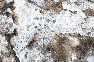white concrete wall texture