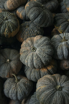 THAILAND CHIANG RAI MARKET FEGETABLE PUMPKIN
