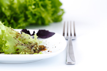 lettuce leave on a white plate. concept for healthy care