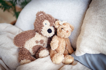 Nice and cute teddy bear on the bed