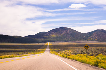 Highway durch die Landschaft Amerikas