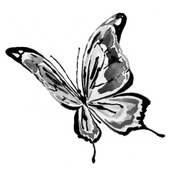 beautiful black butterfly,watercolor,isolated on a white