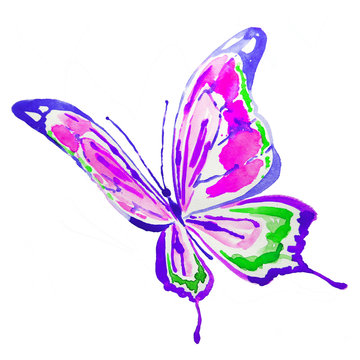 beautiful violet butterfly,watercolor,isolated on a white