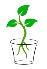 Plant logo. 