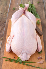 Frisches H&auml;hnchen