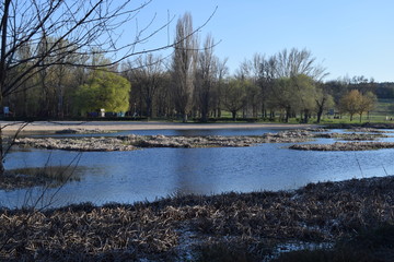Paisajes ribereños. 