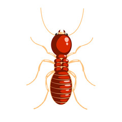 Termite insect colorful cartoon character