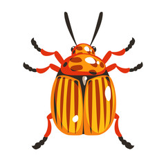 Colorado potato beetle colorful cartoon character