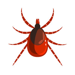 Mite or tick dangerous parasite. Colorful cartoon character