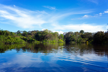 Fototapeta na wymiar Beautiful Amazon Landscape