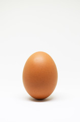 fresh chicken egg on white background. isolated brown egg.