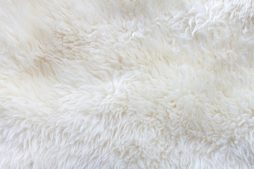 background of white wool.