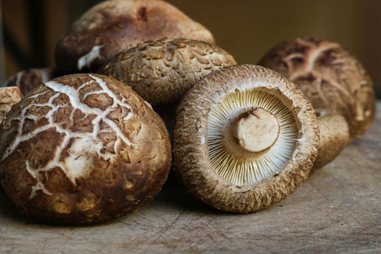 Fresh shiitake mushrooms on wooden background.healthy food. Mushrooms have the ability to boost the immune system