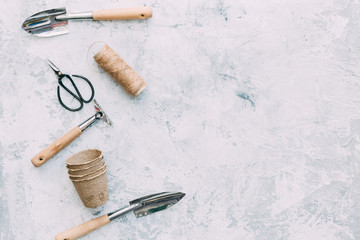 Gardening tools and flowers . Spring gardening concept 