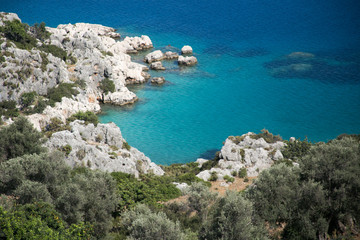 Fototapeta na wymiar Beautiful bay with rocks olive trees turqouise sea