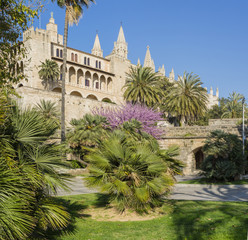Fototapeta premium Majorca cathedral