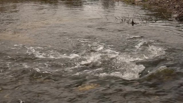 A small stormy river. Slow motion