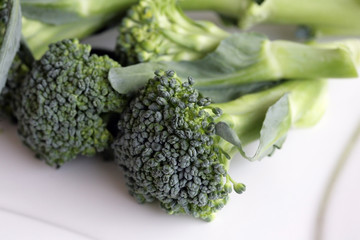 Close up of fresh broccoli on white background.