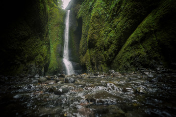 Lower Oneonta Falls waterfall located in Western Gorge, Oregon.