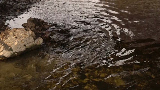 Flow of water. A small stream. Slow motion