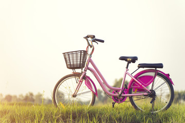 Pink bicycles on the summer meadow and sunset.