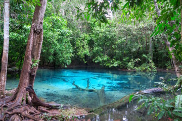 Fototapeta premium beautiful and clear very blue water pool