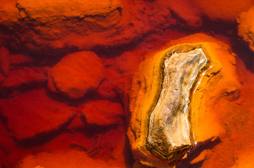 Stone protruding from the red water of riotinto