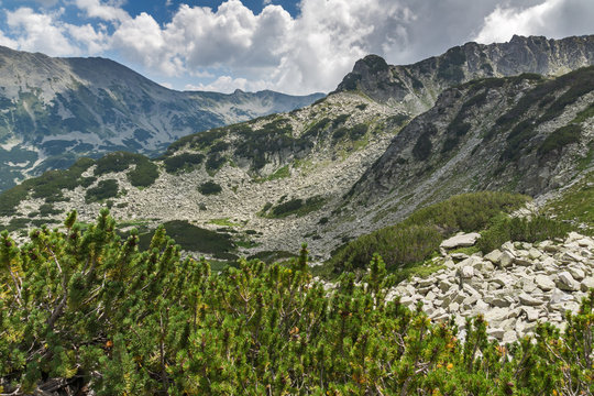 Amazing Panorama from Banderitsa pass, Pirin Mountain, Bulgaria