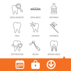 Tooth, dental braces and mouthwash icons. Diagnostics, toothbrush and toothache linear signs. Dentinal tubules, protection flat line icons. Download arrow, locker and calendar web icons. Vector