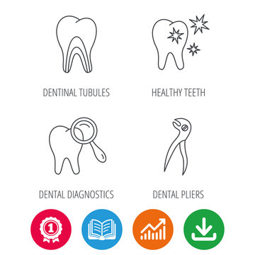 Healthy teeth, dentinal tubules and pliers icons. Dental diagnostics linear sign. Award medal, growth chart and opened book web icons. Download arrow. Vector
