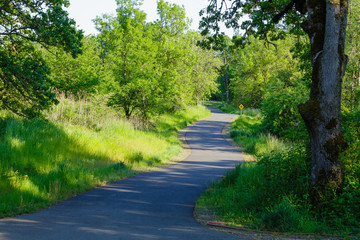 Bike Path in Eugene Oregon
