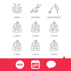 Infant child, ladybug and toddler baby icons. 0-18 months child linear signs. Unattended, parents supervision icons. New tag, speech bubble and calendar web icons. Vector