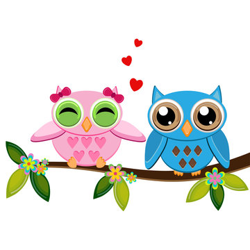 owls on a branch with hearts