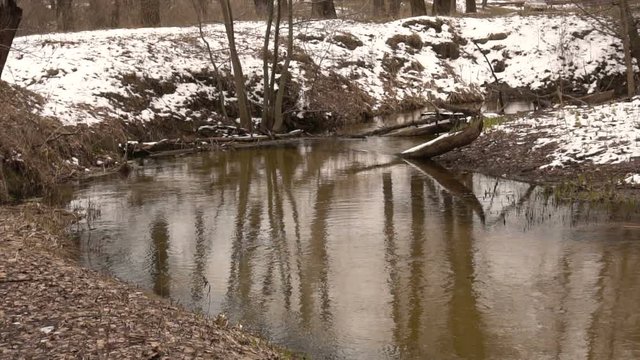 The end of winter, a forest trickle. Slow motion