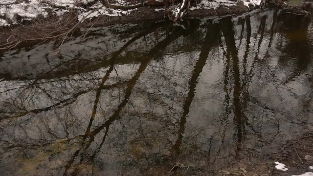 The end of winter, a forest trickle. Slow motion