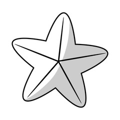 sea star icon over white backgronund. vector illustration
