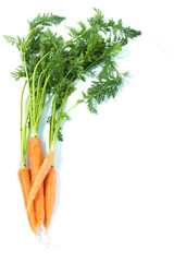 Carrots vegetables with green leaves isolated on white background studio cutout