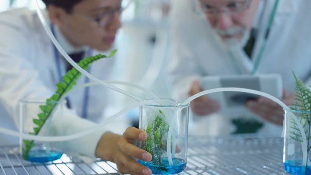  Experienced male research scientists checking plant samples in laboratory & having discussion. 
