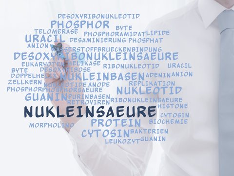 Nukleins&auml;ure