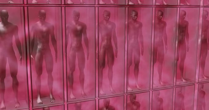 Human Clones suspended in boxes and pink fluid life support chambers. 3d animation. Camera pans top to bottom view