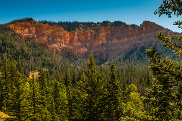 Red Cliffs Above the Pines