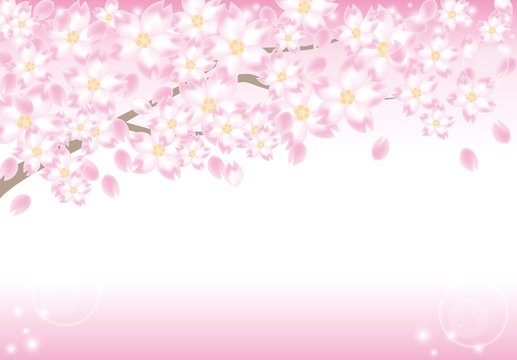 桜の木のフレーム・ピンク背景