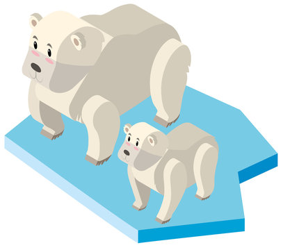 Polar bear and cub on ice