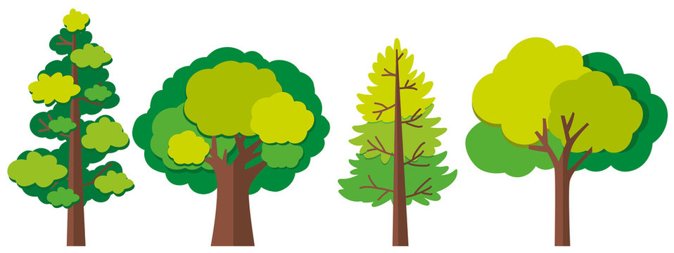 Different designs of trees