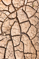 Cracked ground caused by drought. Impact of global warming concept.